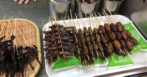 are bats eaten in china